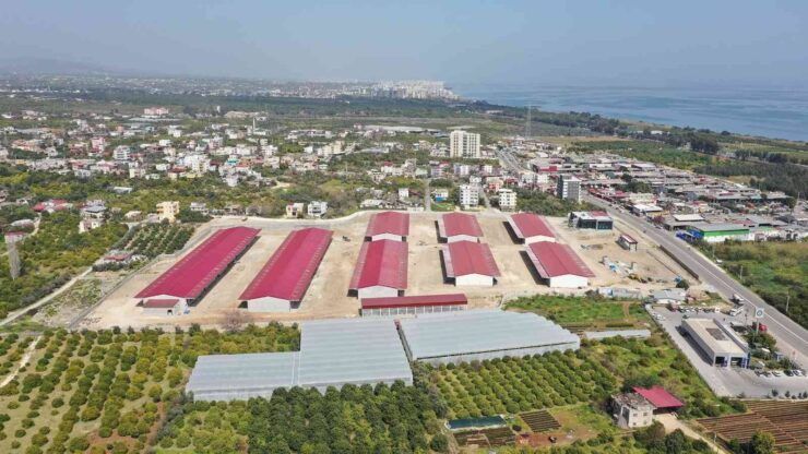 Erdemli Hal Tesisinin yüzde 75’i tamamlandı