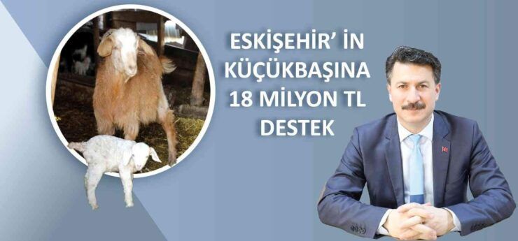 Küçükbaş hayvancılığa 18 milyon lira destek