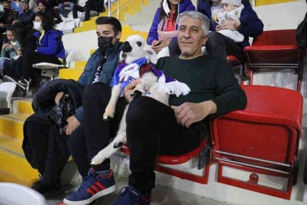 Final maçını kuzusuyla birlikte izledi