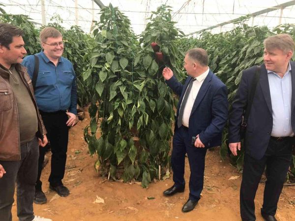 Rusya, Türkiye’den ithal edilen 5 ürünün kısıtlamalarını kaldırdı