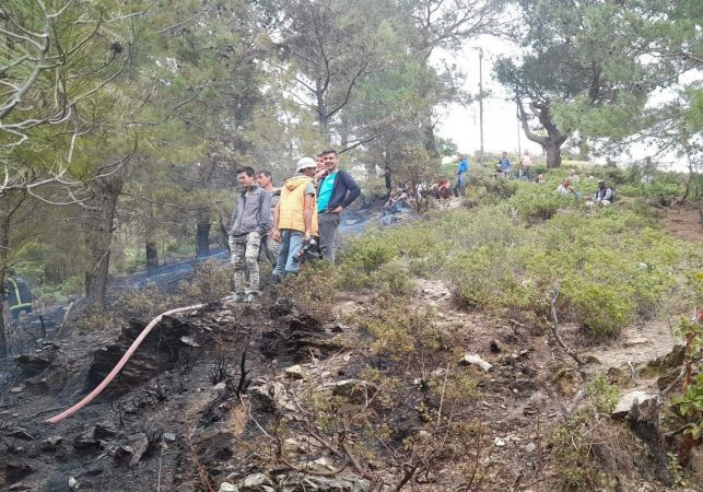 Mersin’de orman yangını büyümeden söndürüldü
