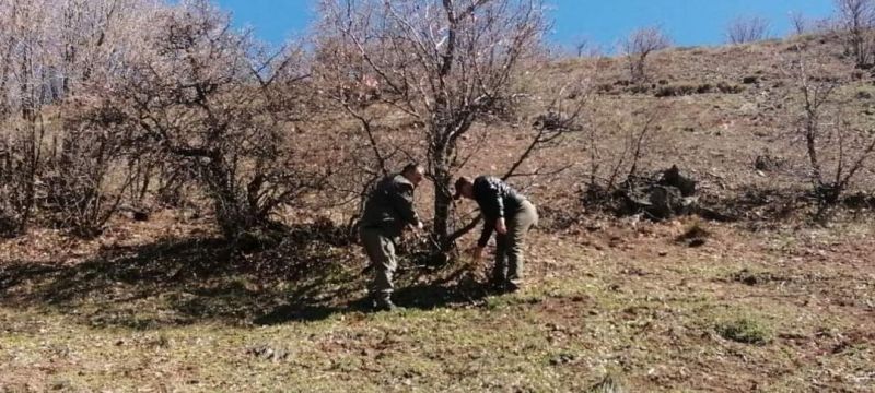 Elazığ’da yaban hayatı ve kaçak avcılar, fotokapanlarla tespit ediliyor