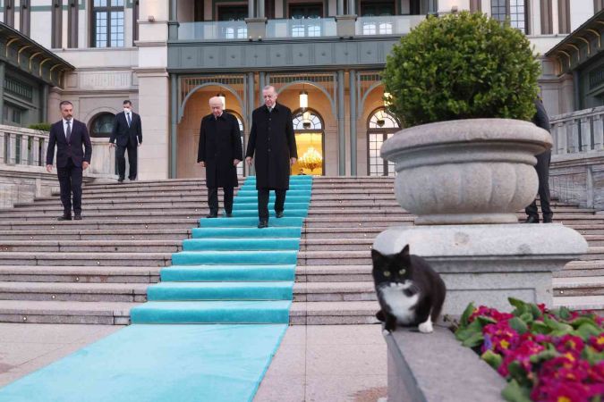 Cumhurbaşkanı Erdoğan ile Devlet Bahçeli iftar sofrasında bir araya geldi Cumhurbaşkanı Erdoğan ile Devlet Bahçeli iftar sofrasında bir araya geldi