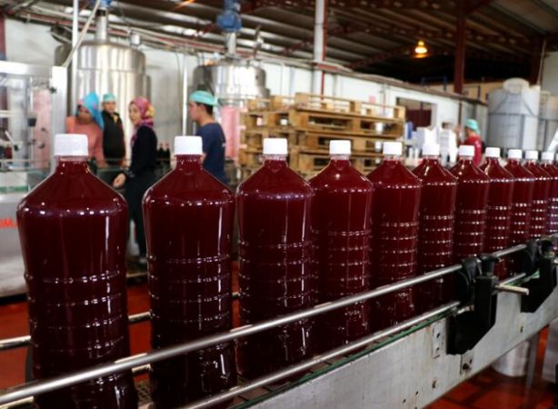 Adana’dan 46 ülkeye ihraç ediliyor