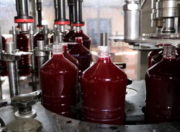 Adana’dan 46 ülkeye ihraç ediliyor