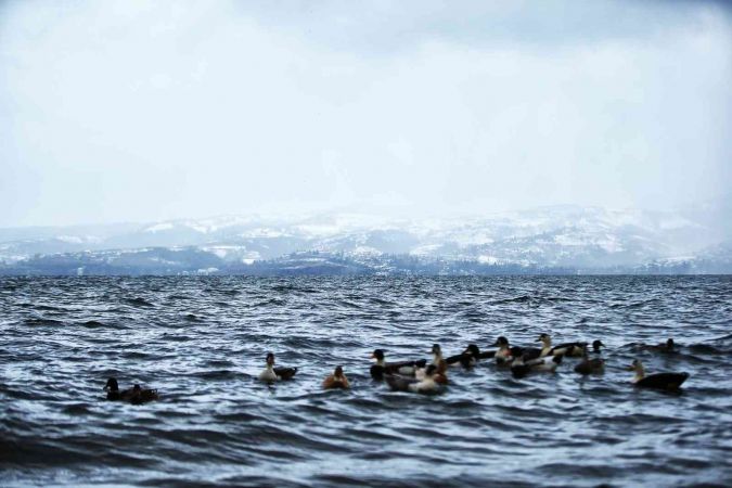 Sapanca Gölü’nde içme suyu kalitesi birinci sınıf