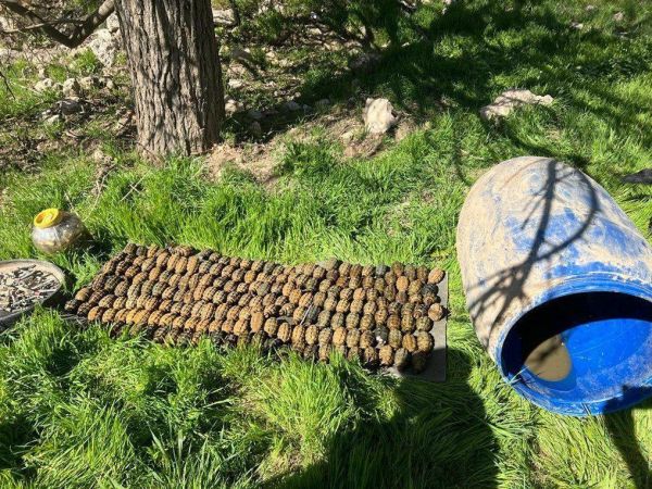 Terör örgütü PKK’ya Şırnak’ta darbe