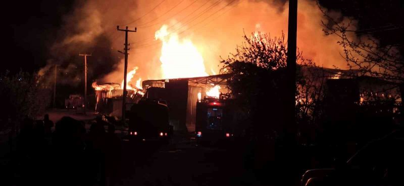 Yalova’da kereste fabrikasında korkutan yangın