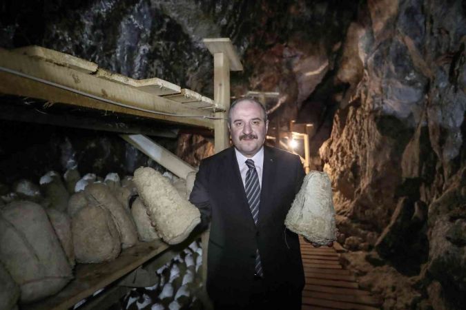 Bakan Varank: ‘Divle obruk peynirinin kapasitesini arttırmayı hedefliyoruz’