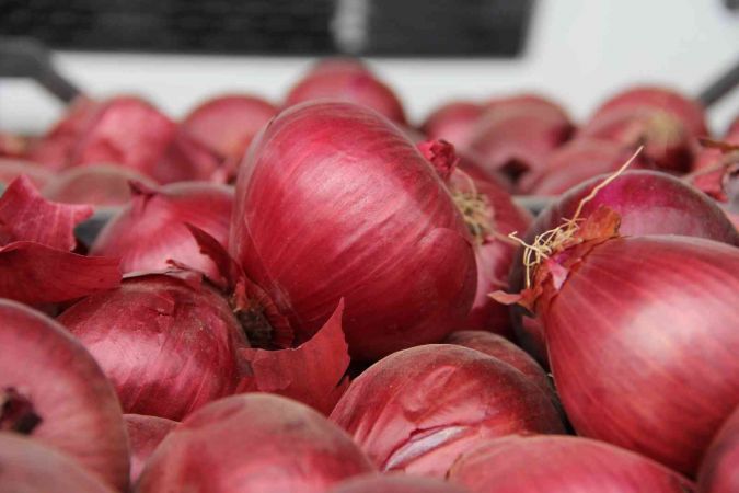 Mersin ve Adana’nın enflasyonu Yüzde 72,36