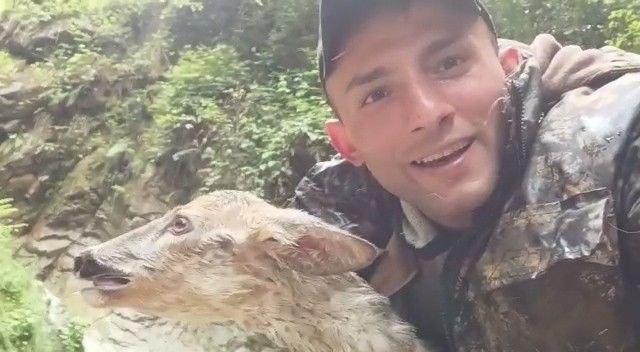 Şelalede mahsur kalan karacayı vatandaş kurtardı