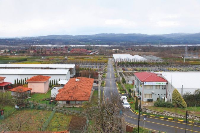 Peyzaj ve süs bitkiciliği için dev adım: 179 dekar alan üretim üssüne dönüştü