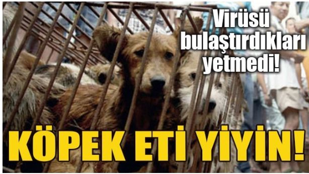 ÇİNLİ ŞİRKEKTEN MİDE BULANDIRICI ÖNERİ!