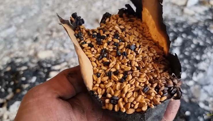 Ruslar, Hitlerin bile yapmadığını yaptı: Ukrayna’nın Bitki Genetik Bankasını yok etti