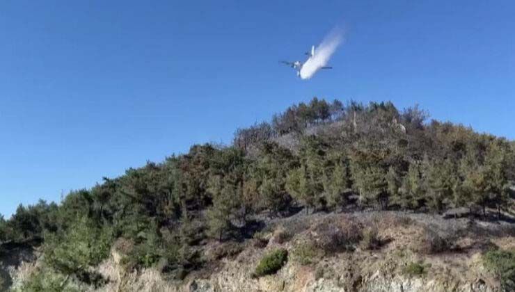 Hatay’da orman yangını: Soğutma çalışmaları sürüyor