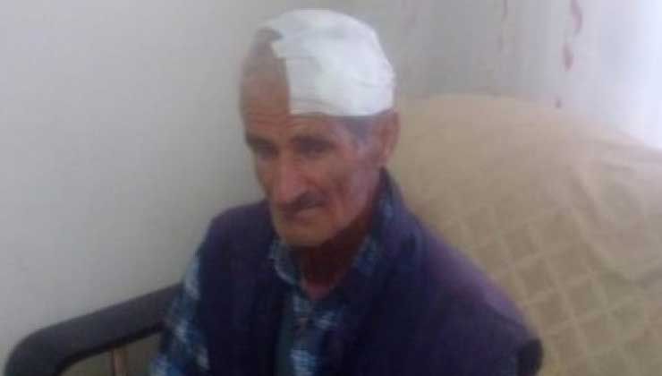 Diyarbakır’da köpekler yaşlı adama saldırdı