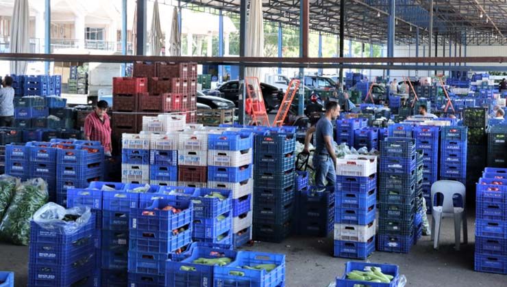 Bir haftada sebze fiyatları yarı yarıya düştü