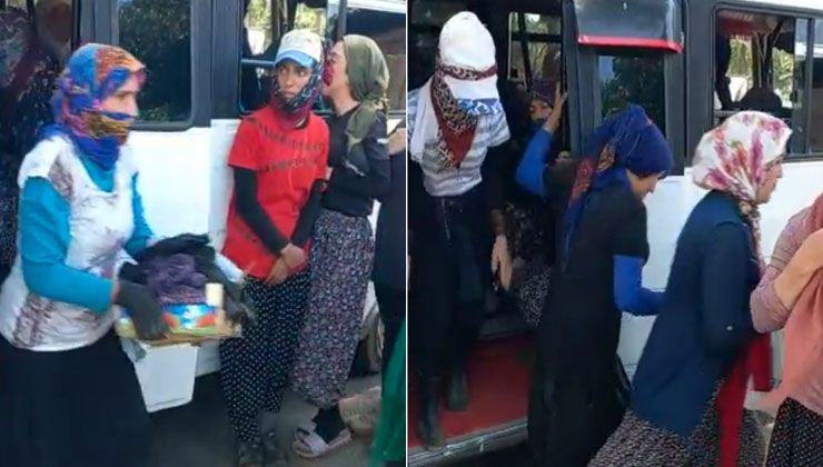 Polis bile gözlerine inanamadı: 14 kişilik minibüsten 33 kişi çıktı
