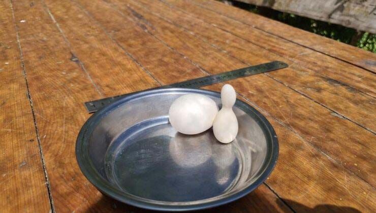 Kümesteki yumurtayı bowling labutuna benzetti