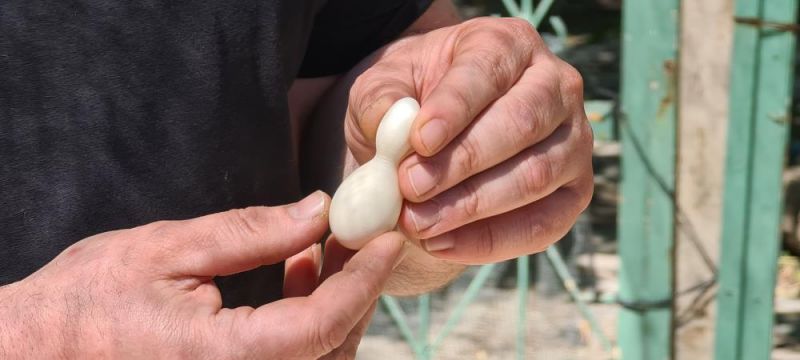Kümesteki yumurtayı bowling labutuna benzetti