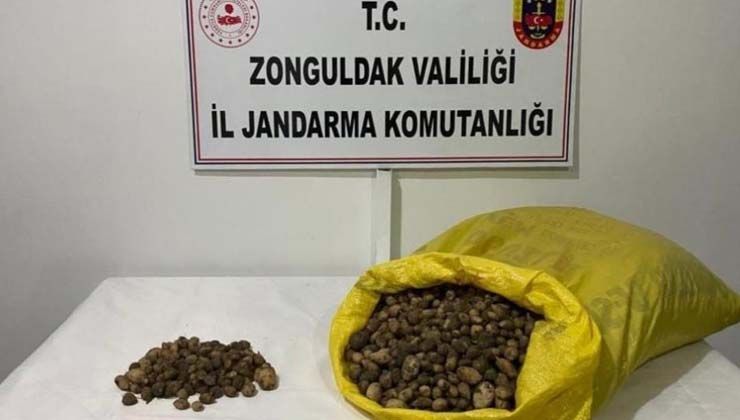40 kilo salep soğanı için 218 bin TL ceza yediler