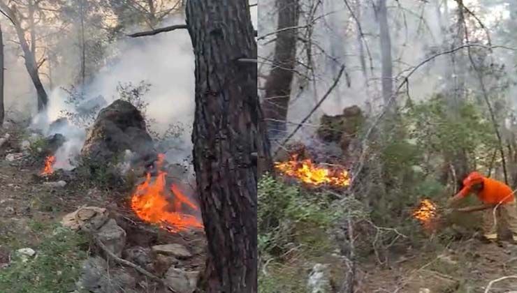 Alanya’da orman yangını: 5 dönüm alan zarar gördü