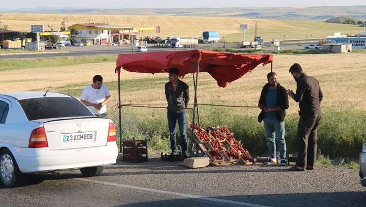 Market çalışanı ücreti yetersiz bulunca çilek işine girdi: Yıllık kazancı 800 bin TL