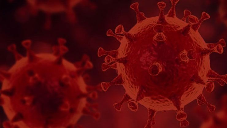 Maymun çiçeği virüsü bir ülkeye daha sıçradı