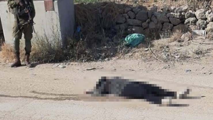 İsrail, Filistinli kadını katletti