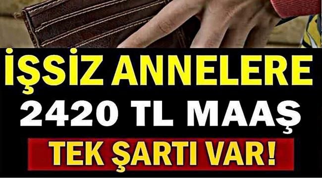 Çalışmayan Kadınlar İçin Devletten Aylık Maaş Müjdesi
