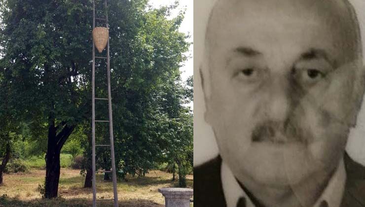 72 yaşındaki adamın acı sonu: Erik toplamak isterken canından oldu