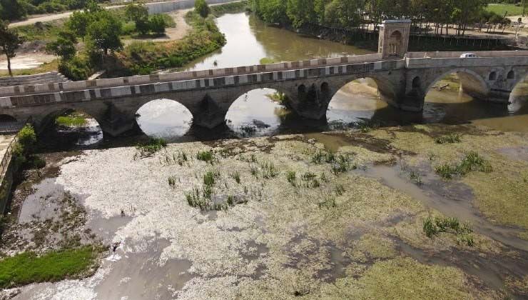 Tunca Nehri’nde korkutan manzara: Resmen bataklığa döndü