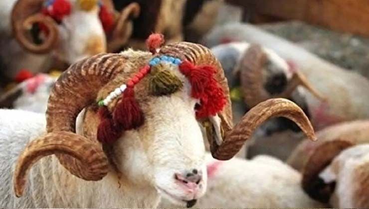 Kurban Bayramı ne zaman 2022? Kurban Bayramı tatili kaç gün olacak?