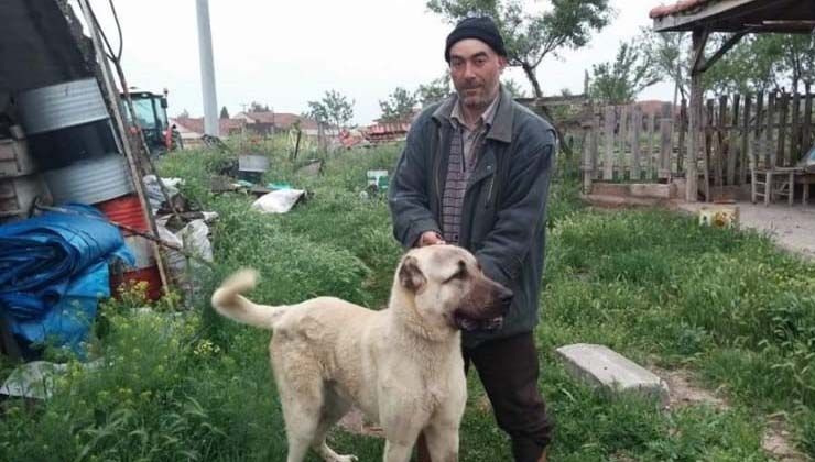 Arazi kavgasında baba yaralandı, oğlu Aydın Dişçi hayatını kaybetti