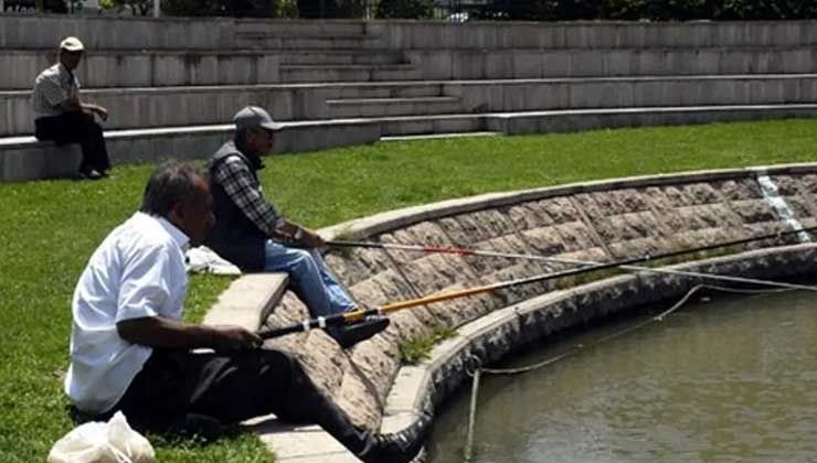 Amatör balıkçının oltasına takıldı! Dev balığı görenler gözlerine inanamadı Amatör balıkçının oltasına takıldı! Dev balığı görenler gözlerine inanamadı