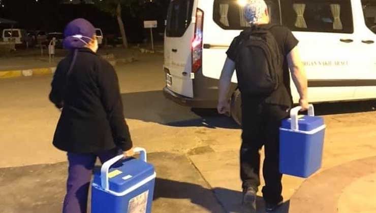 Beyin ölümü gerçekleşti, organları 3 hastaya umut oldu