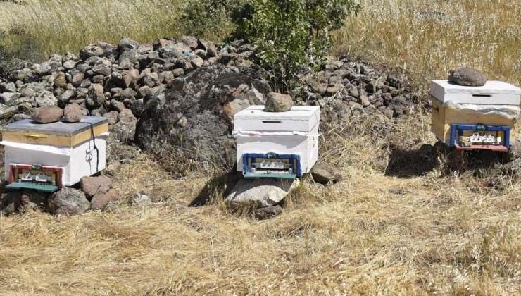 Bingöl’de Hasan Kolatu arı sokması sonucu öldü