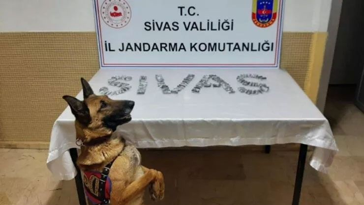 Midesinden 15 paket uyuşturucu çıktı
