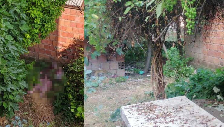 Asmadan düşen Sevgi Temiz hayatını kaybetti