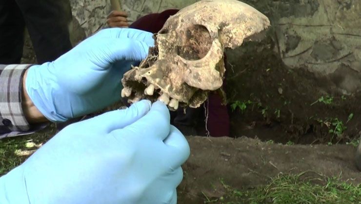 Gördükleri karşısında dehşete düştüler! Su patlağı için yapılan kazıda insan kemikleri ortaya çıktı