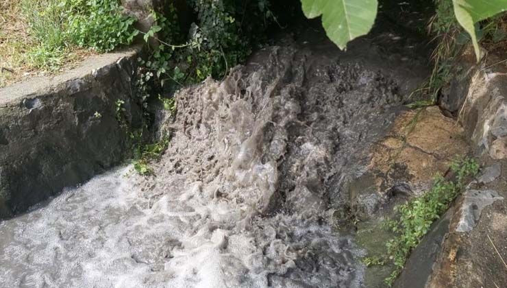 İzmit Körfezinde felaket; siyaha büründü