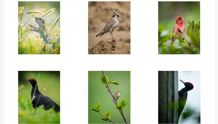 Doğaya Kanat Açtık projesi ikinci rotasını tamamladı