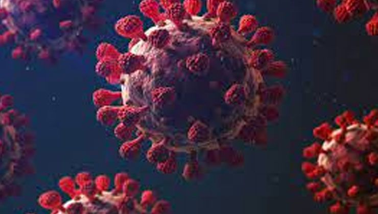 DSÖ duyurdu! Maymun çiçeği virüsünün adı değişiyor