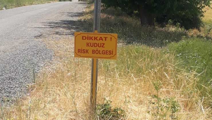 Elazığ’da kuduz vakası: Seydilli köyü karantinaya alındı