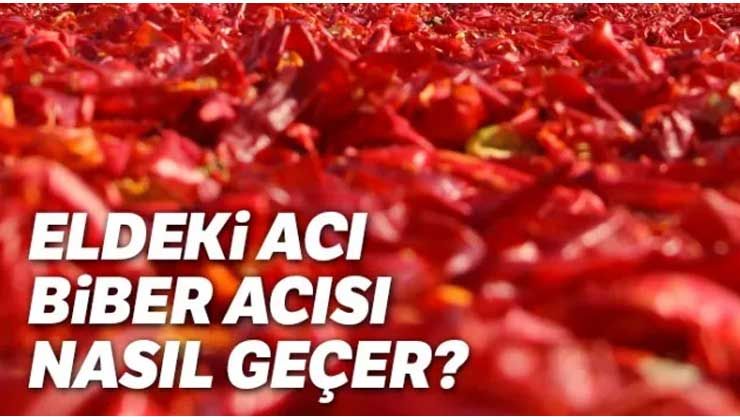Eldeki Acı Biber Acısı Nasıl Geçer? Eldeki biber Acısı Hissi Nasıl geçer? Biber yanığı Acısı Elden Nasıl Çıkar?