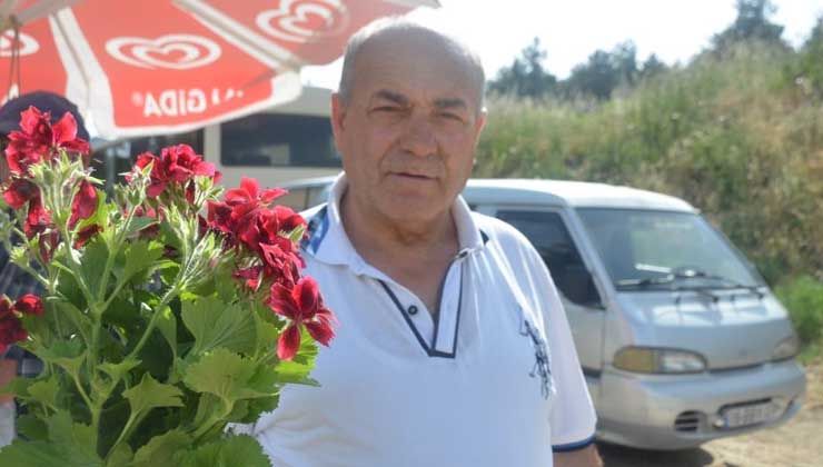 Ebegümeci şarkısı herkesin dilindeydi, çiçeğine ilgi yağıyor