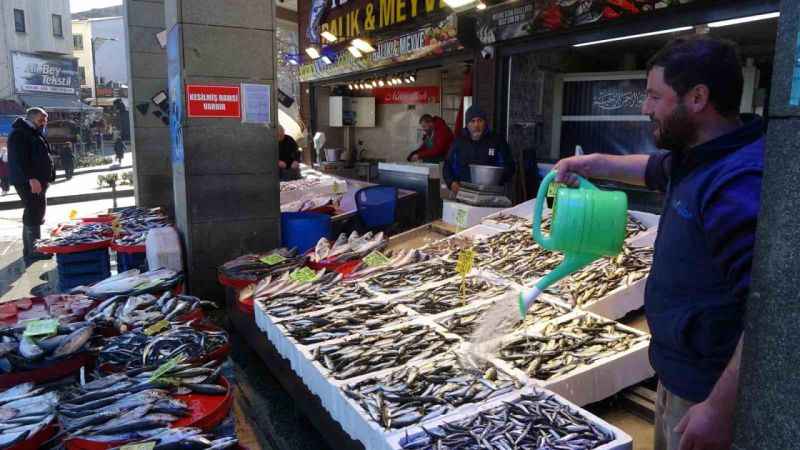 Hamsi artık kayıplarda