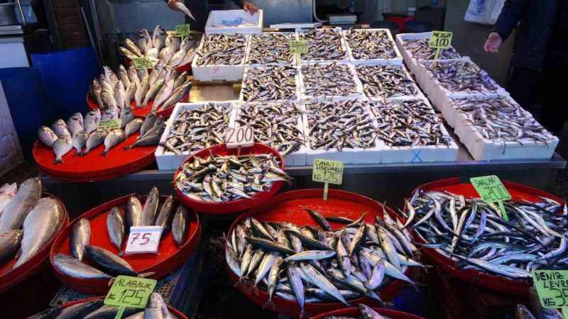 Hamsi artık kayıplarda