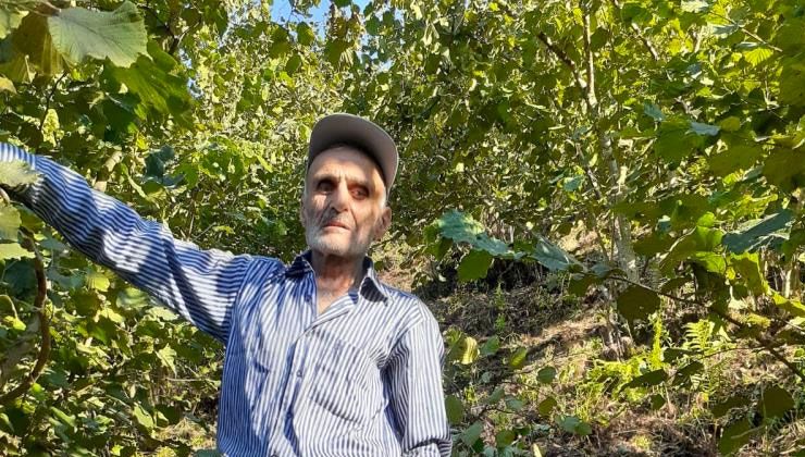 Kıbrıs Gazisi  Hüseyin Ardahan trafik kazasında hayatını kaybetti