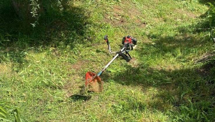 Çim kesme makinesi yüzünden komşusunu vurdu
